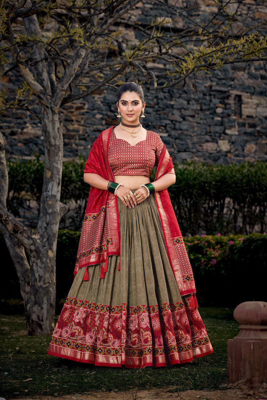 Effortless Glamour Lehenga Set